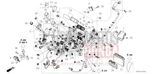 WIRE HARNESS NC750XDP de 2023